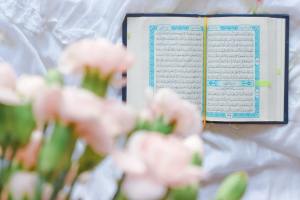 Weisheiten aus dem koran - Unsere Produkte unter den verglichenenWeisheiten aus dem koran!